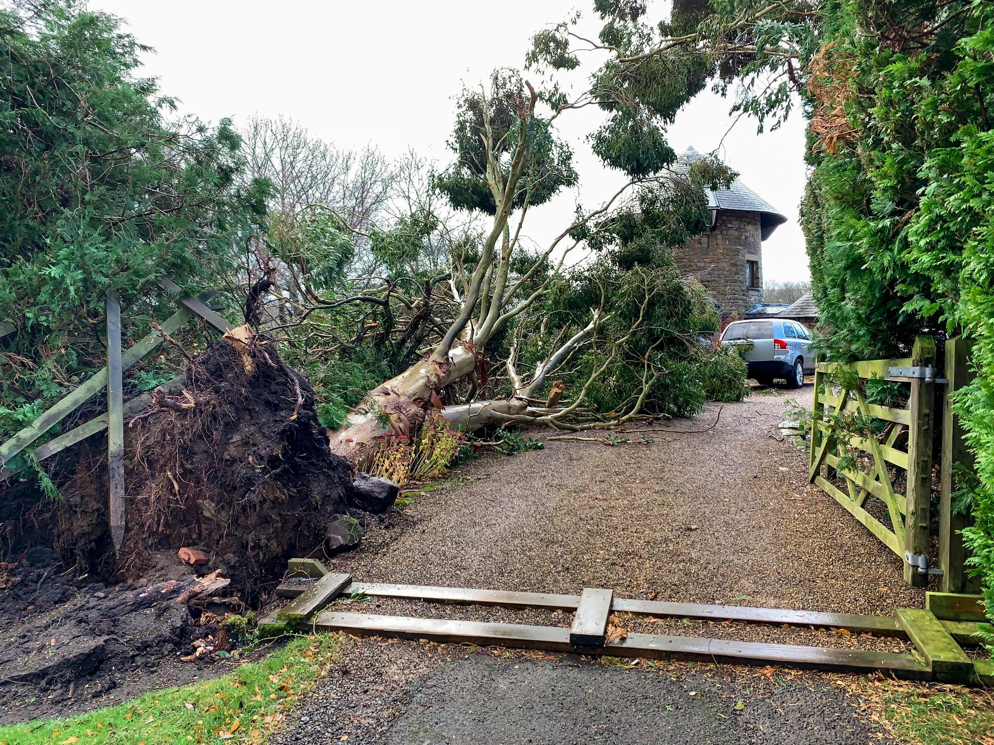 Storm damage around a home requiring documentation